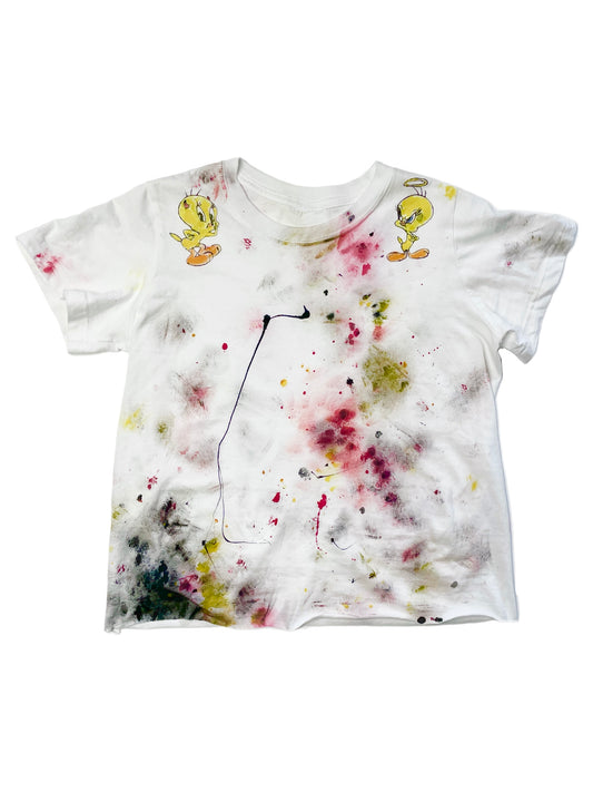 painted cropped tshirt